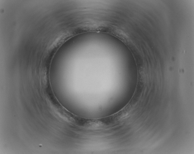 X0000076250642200610122206