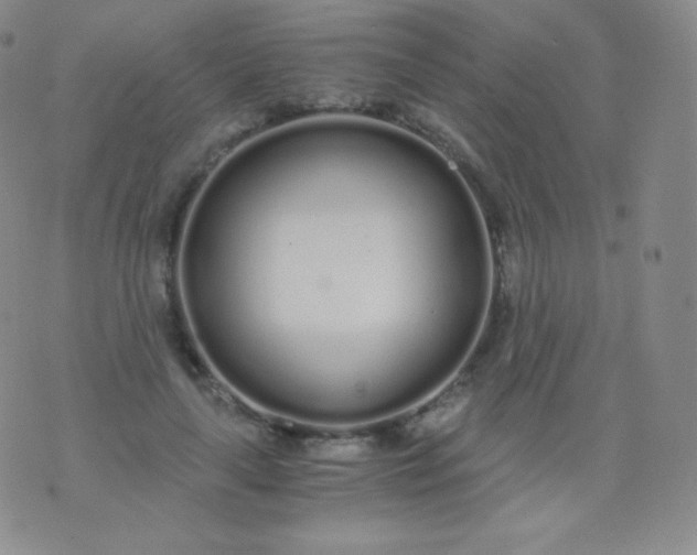 X0000076250643200610122206