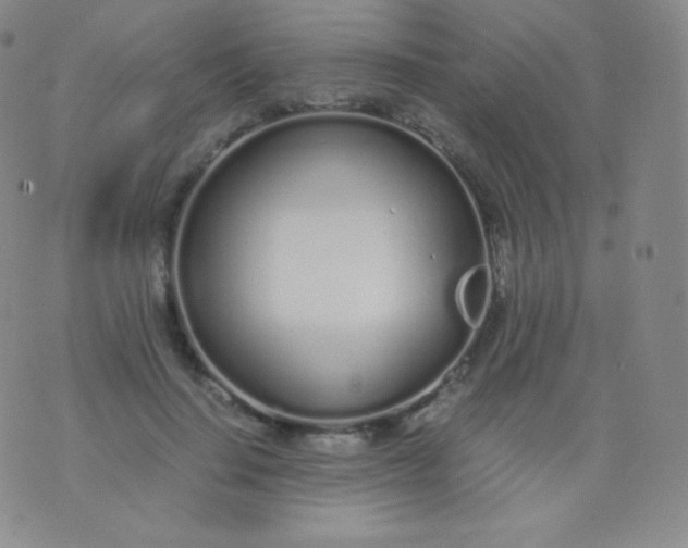 X0000076250644200610122206