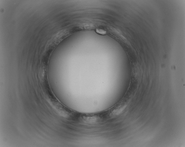 X0000076250645200610122206