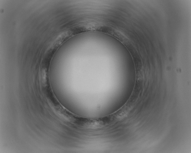 X0000076250646200610122206