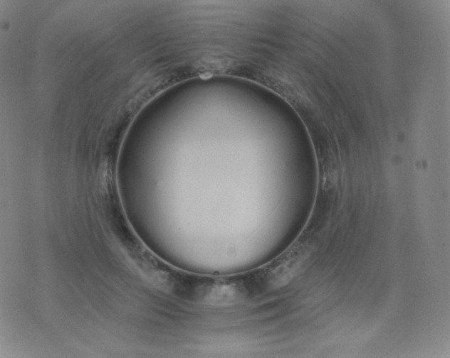 X0000076250647200610122206