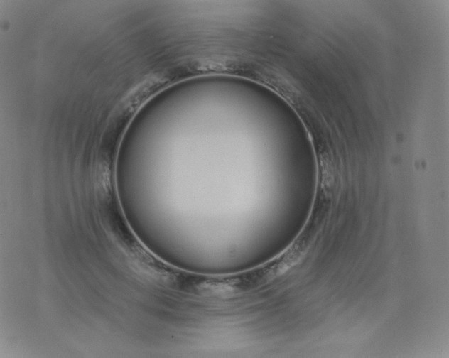 X0000076250648200610122206