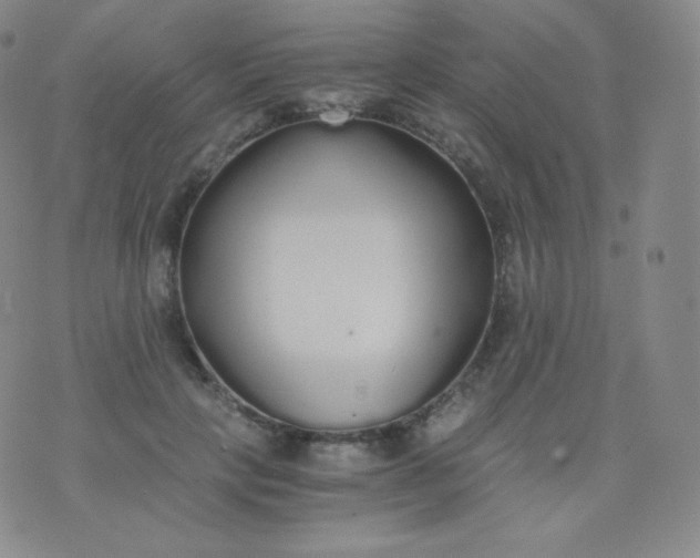 X0000076250649200610122206