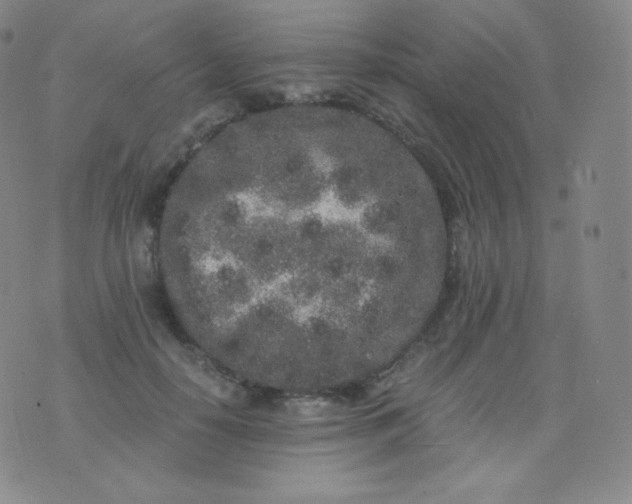 X0000076250650200610122206