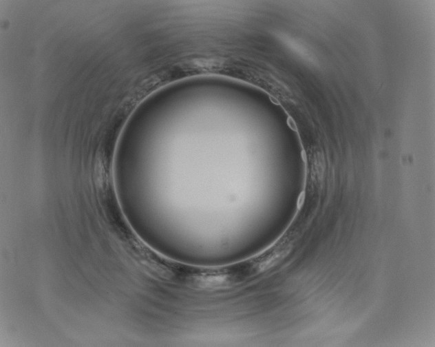 X0000076250651200610122206