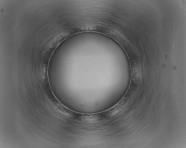 X0000076250652200610122206