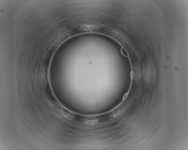 X0000076250653200610122206