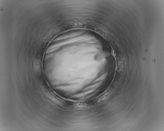 X0000076250654200610122206