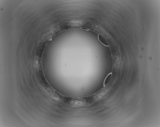 X0000076250655200610122206