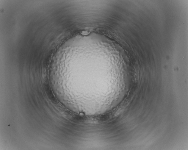 X0000076250656200610122206