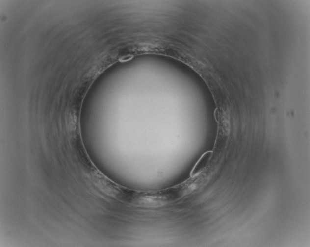 X0000076250657200610122206