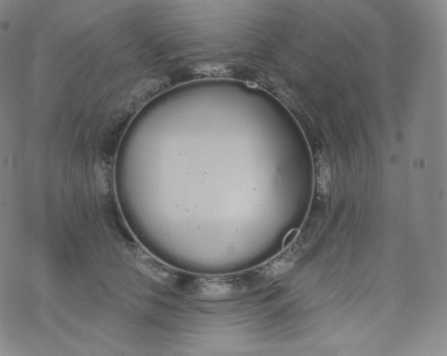 X0000076250658200610122206