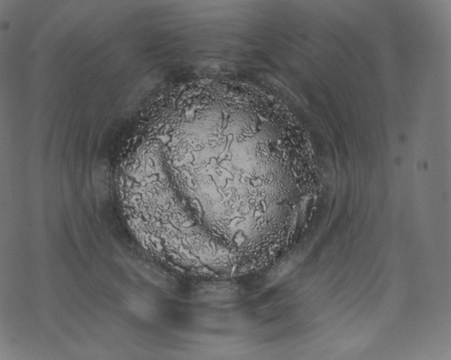 X0000076250659200610122206