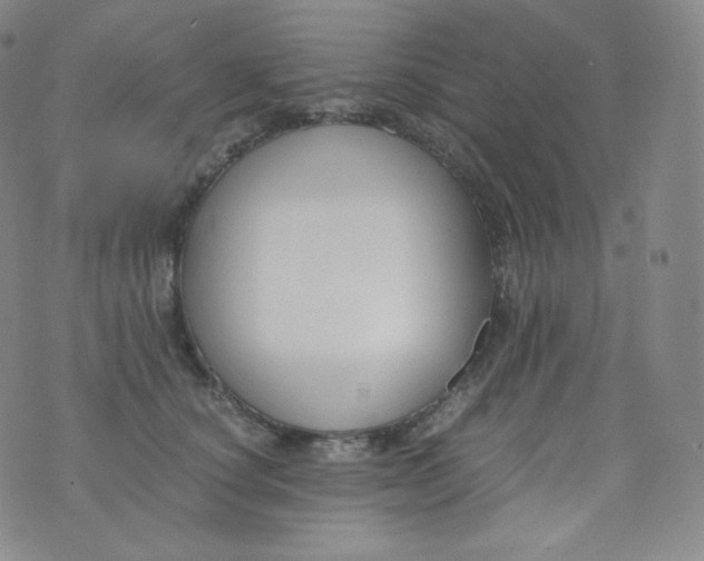 X0000076250660200610122206