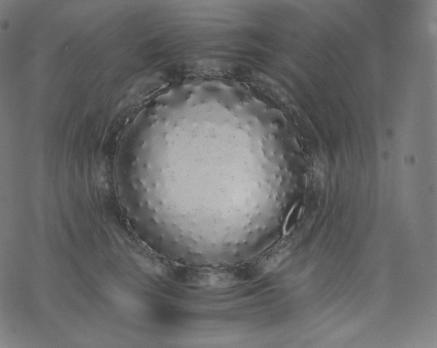 X0000076250663200610122206