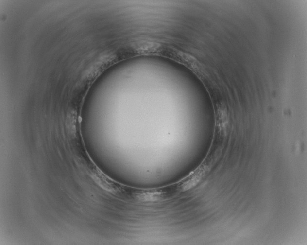 X0000076250664200610122206