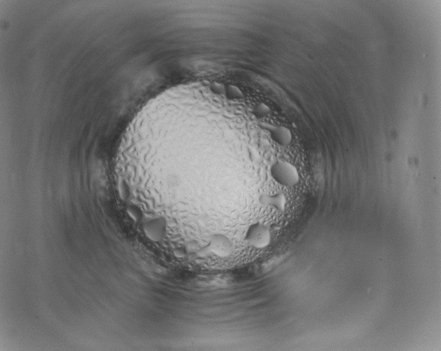 X0000076250667200610122207