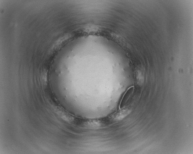 X0000076250668200610122207