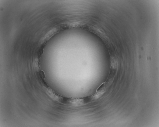 X0000076250670200610122207