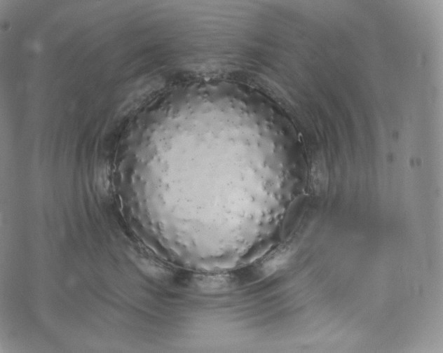 X0000076250671200610122207