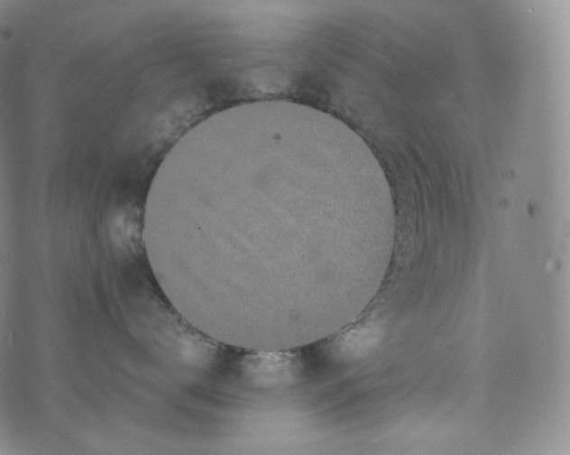 X0000076250672200610122207