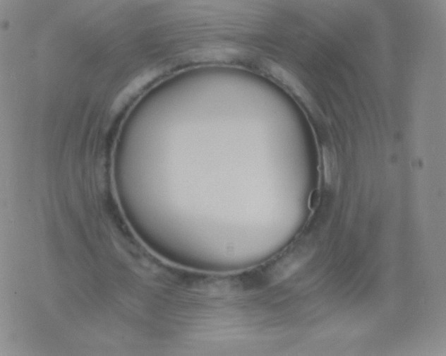 X0000076250675200610122206