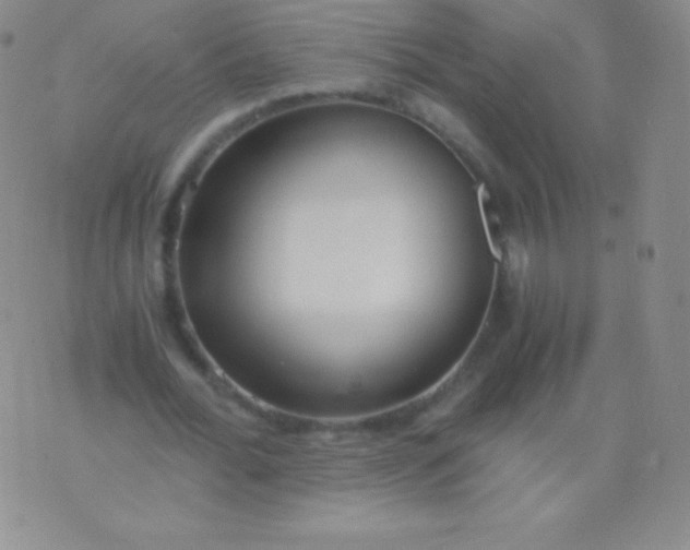 X0000076250676200610122206