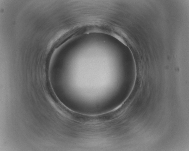 X0000076250677200610122206