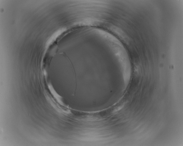 X0000076250678200610122206