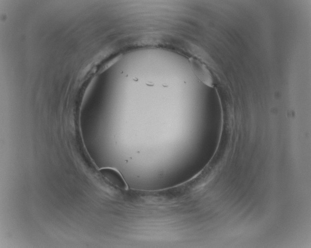 X0000076250681200610122206