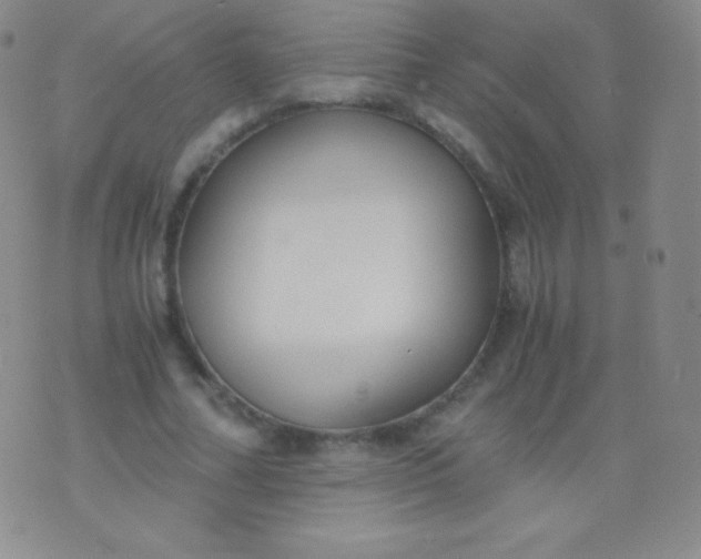 X0000076250682200610122206