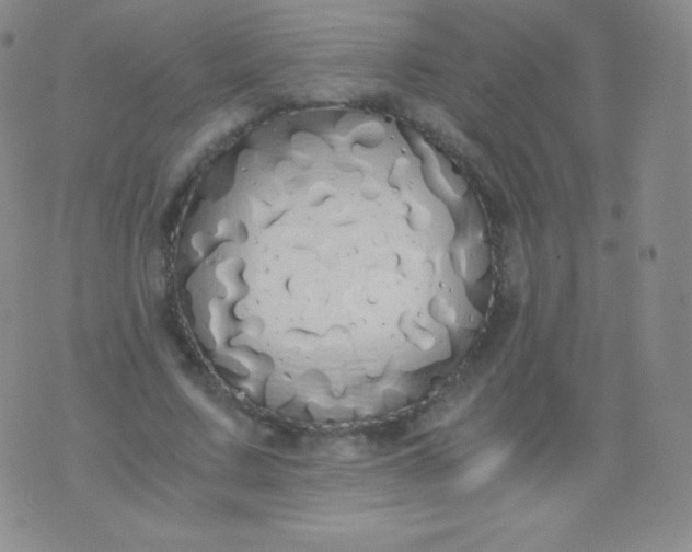 X0000076250683200610122206