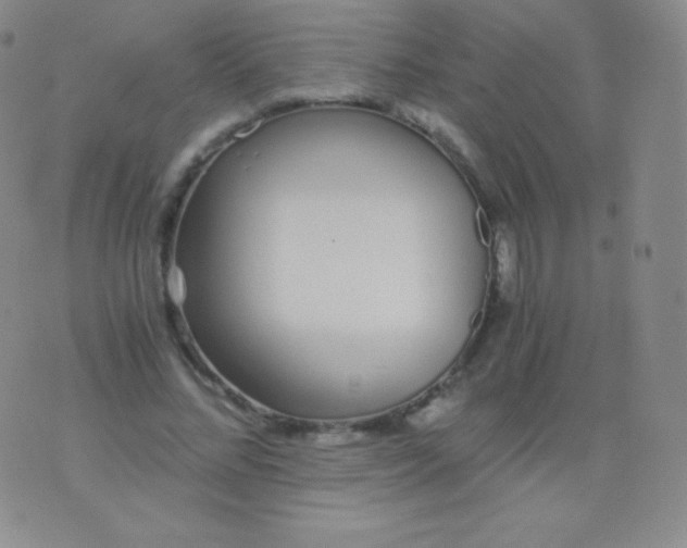 X0000076250684200610122206