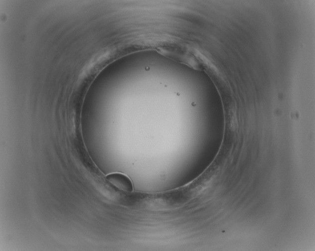 X0000076250685200610122206