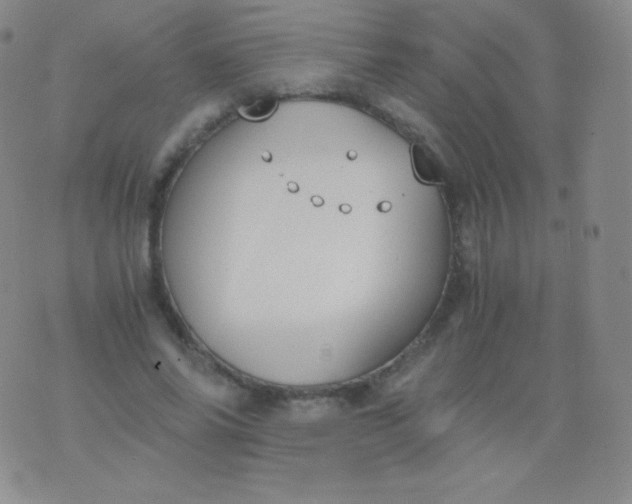 X0000076250686200610122206