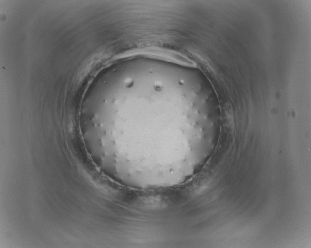 X0000076250687200610122206