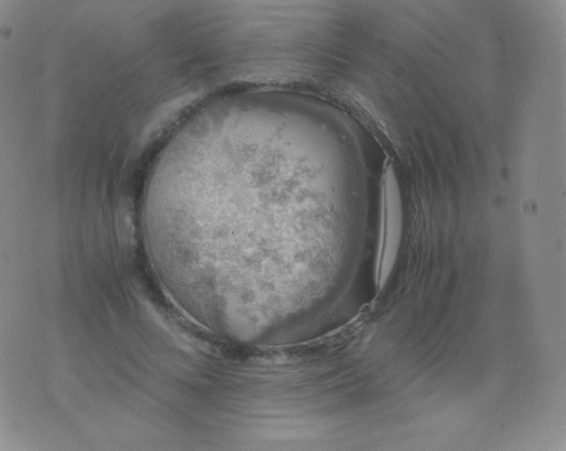 X0000076250688200610122206