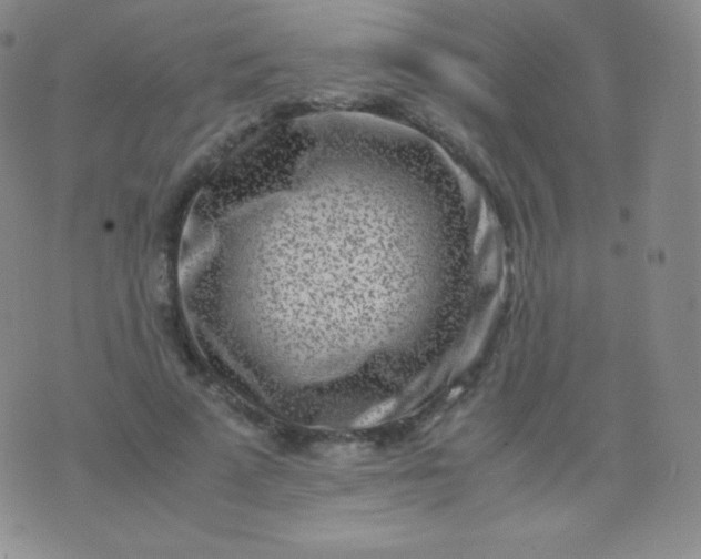 X0000076250689200610122206