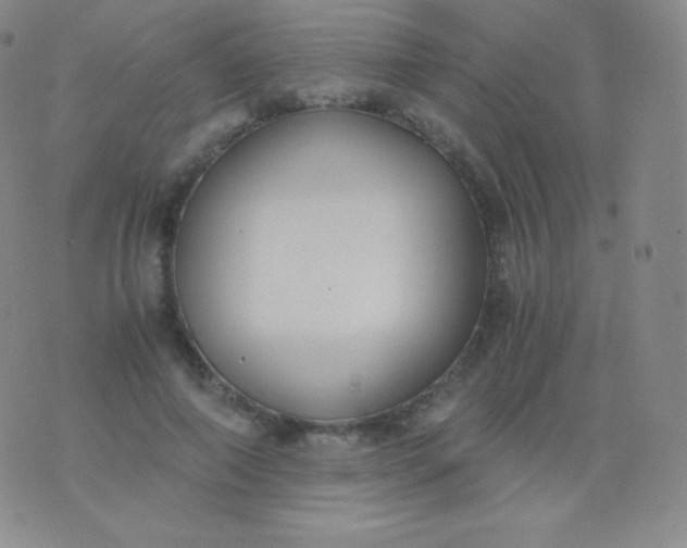 X0000076250690200610122206