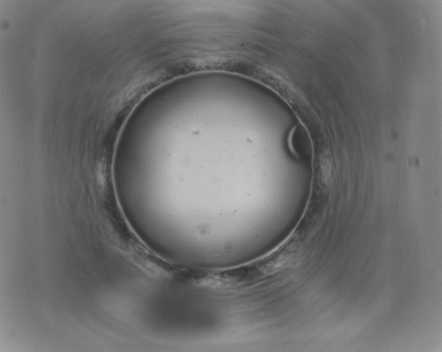 X0000076250691200610122206