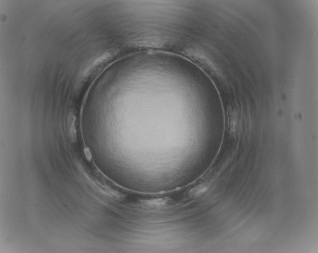 X0000076250692200610122205