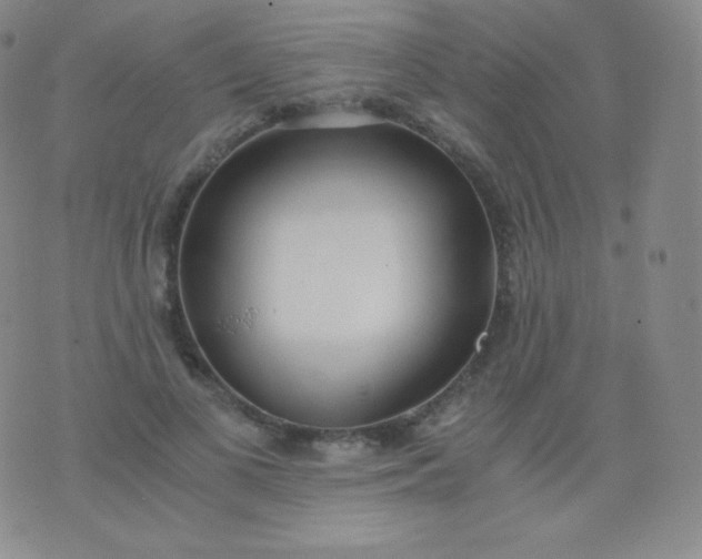 X0000076250693200610122205