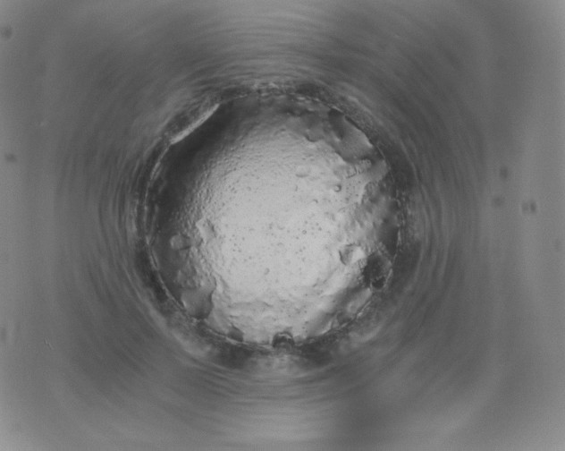 X0000076250695200610122205