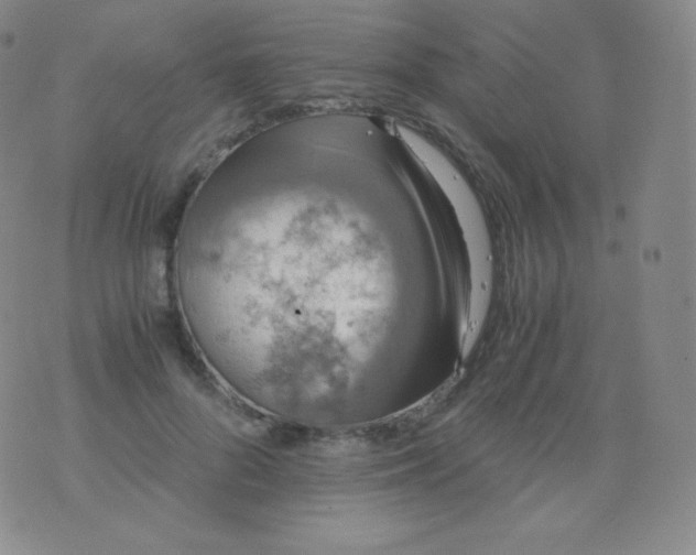 X0000076250696200610122205