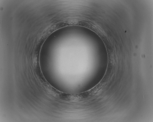 X0000076250697200610122205