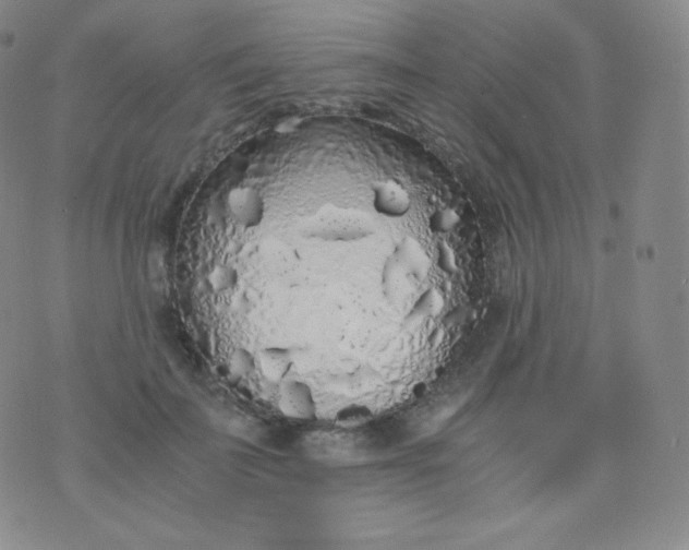 X0000076250699200610122205