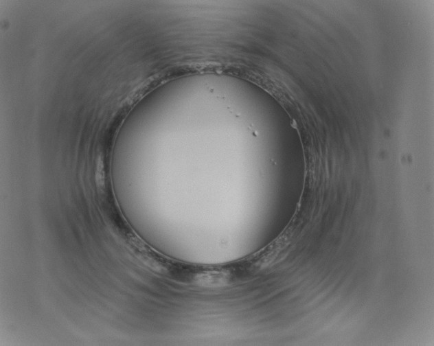 X0000076250700200610122205