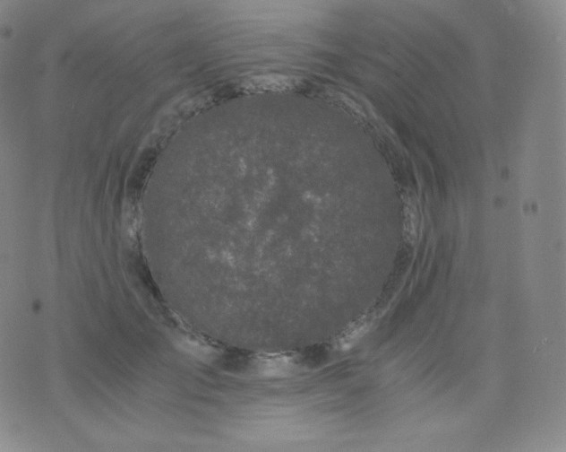 X0000076250701200610122205