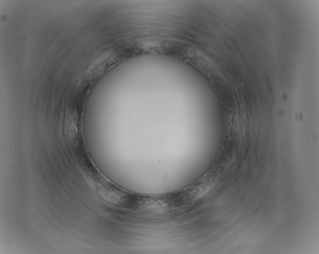 X0000076250702200610122205